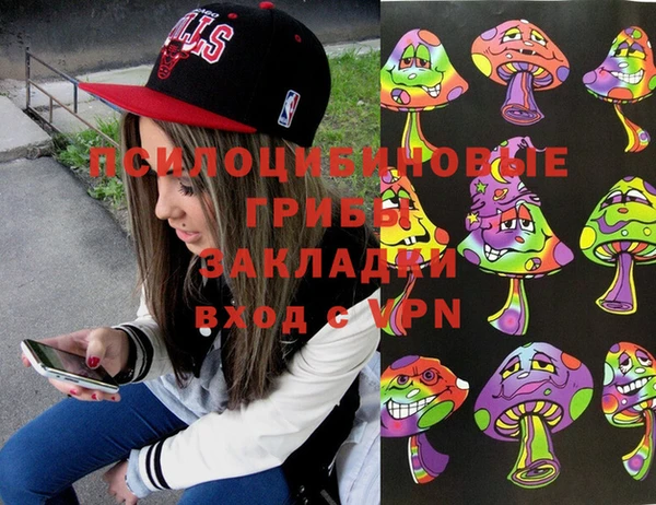 Альфа ПВП Остров
