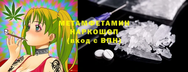 PSILOCYBIN Гвардейск