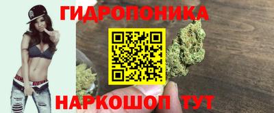 PSILOCYBIN Берёзовский