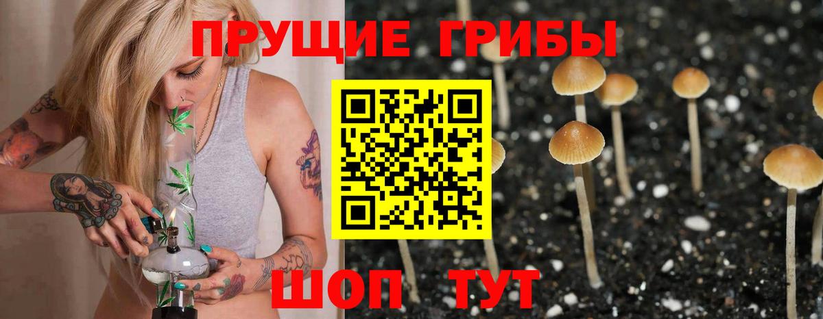 Псилоцибиновые грибы ЛСД Верхняя Салда